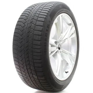 Audi Q8 SQ8 4M Winterräder 5-Segmentspeichen Conti 285/45R21 113V 4M8601025H - Bild 6
